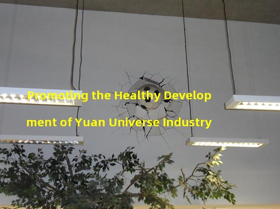 Promoting the Healthy Development of Yuan Universe Industry 