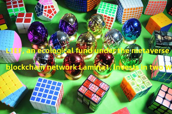 L1EF, an ecological fund under the metaverse blockchain network Lamina1, invests in two Web3 companies: Studio and Legitimate