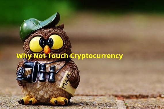 Why Not Touch Cryptocurrency