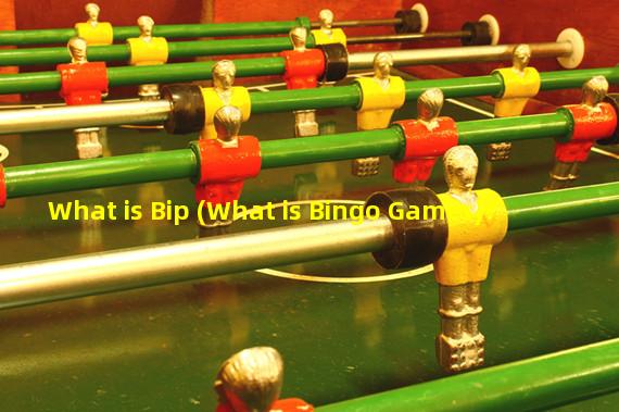 What is Bip (What is Bingo Games)?