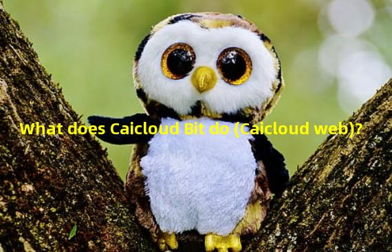 What does Caicloud Bit do (Caicloud web)?
