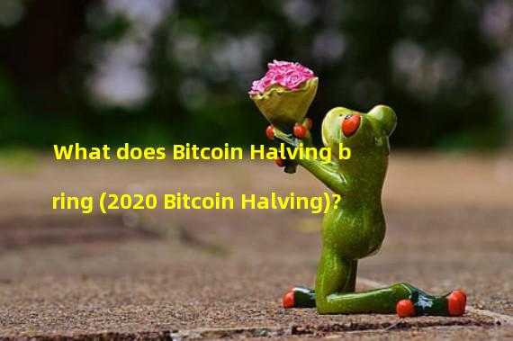 What does Bitcoin Halving bring (2020 Bitcoin Halving)?