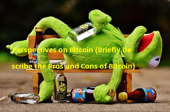 Perspectives on Bitcoin (Briefly Describe the Pros and Cons of Bitcoin)