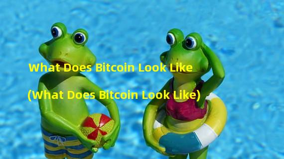 What Does Bitcoin Look Like (What Does Bitcoin Look Like)