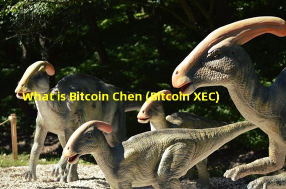 What is Bitcoin Chen (Bitcoin XEC)
