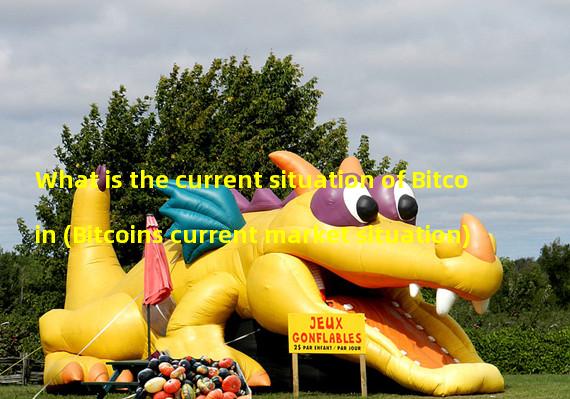 What is the current situation of Bitcoin (Bitcoins current market situation)