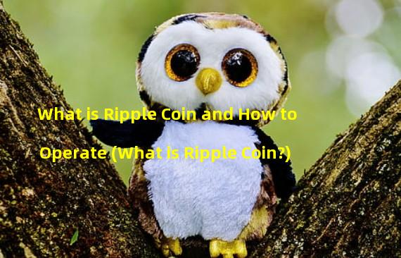 What is Ripple Coin and How to Operate (What is Ripple Coin?)
