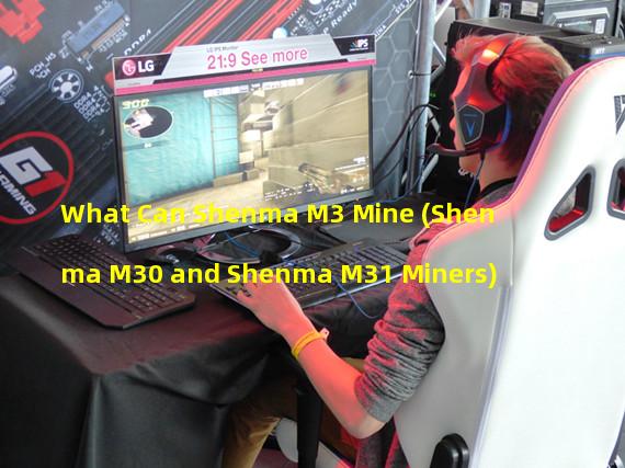 What Can Shenma M3 Mine (Shenma M30 and Shenma M31 Miners)