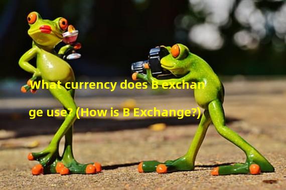 What currency does B exchange use? (How is B Exchange?)